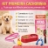 Kit Primeiro Cachorro Acessórios Filhote Comedouro Guia - Fêmea