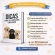 Kit Primeiro Cachorro Acessórios Filhote Comedouro Guia - Macho